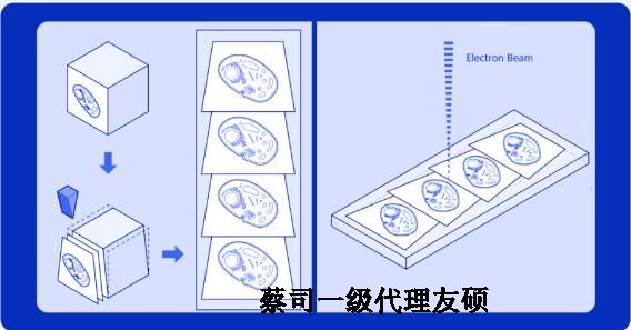 泰州蔡司泰州扫描电镜