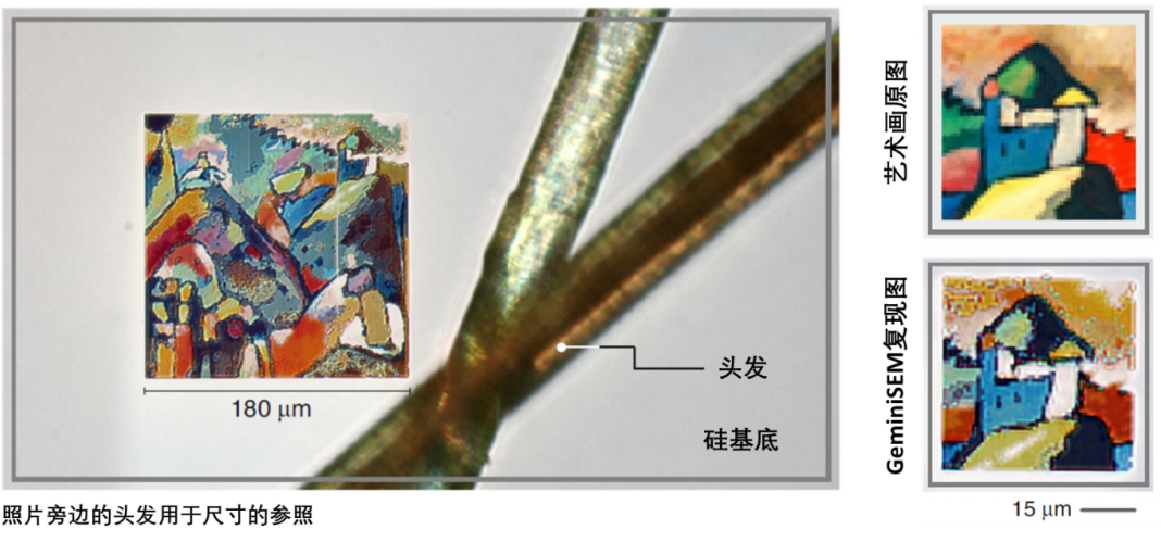 泰州蔡司泰州扫描电镜