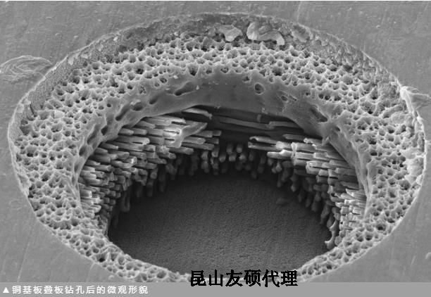 泰州蔡司泰州扫描电镜